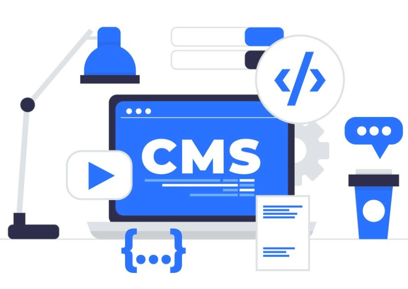 cms Development