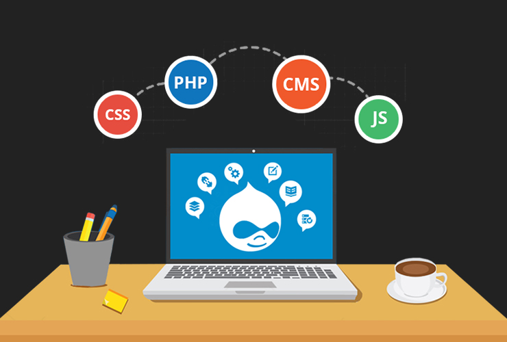 Drupal Development