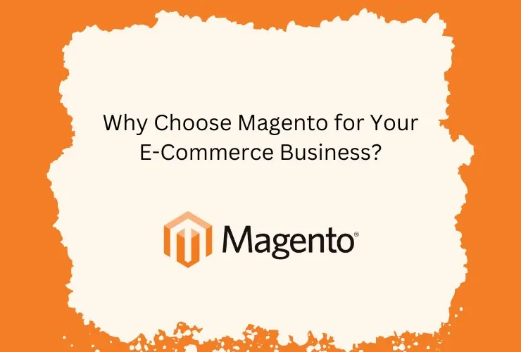 Magento for Your E-Commerce Business