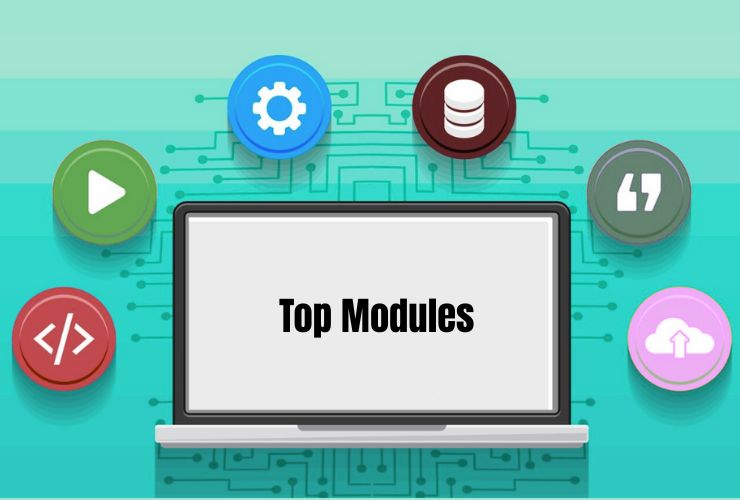 Top DNN Modules