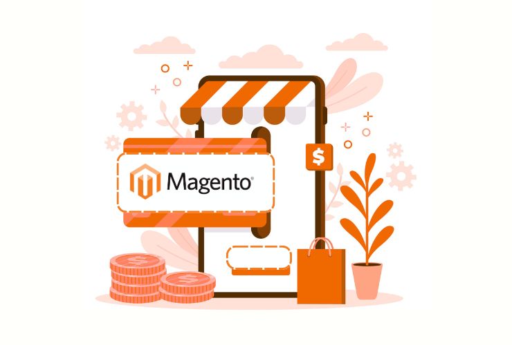 Magento payment gateways,